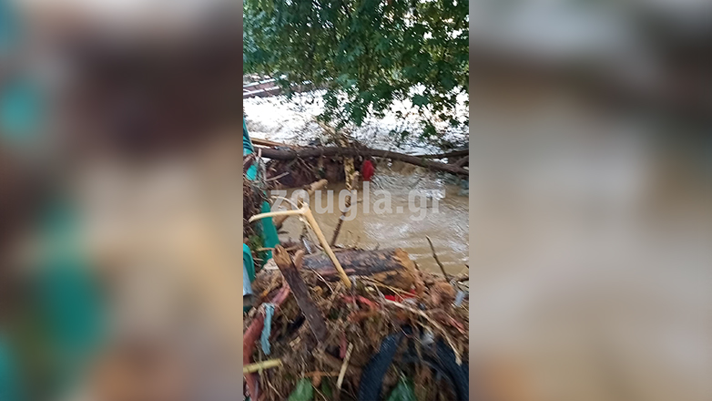 «Σε πέντε χρόνια θα συνέλθει ο Βόλος»