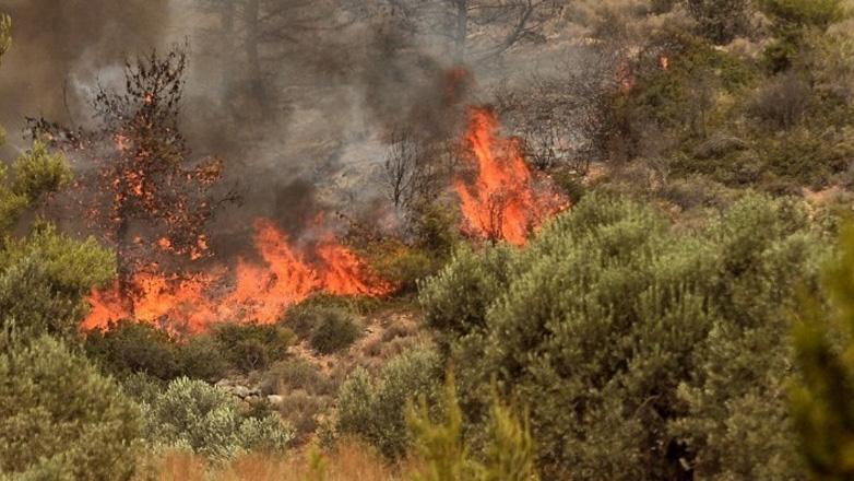 Υπό έλεγχο η πυρκαγιά σε Παγούρια και Δρανιά Ροδόπης