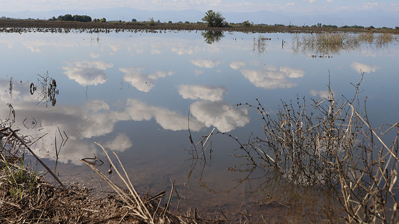 Κλειστή από το μεσημέρι η Επαρχιακή Οδός Παλαμά – Βλοχού