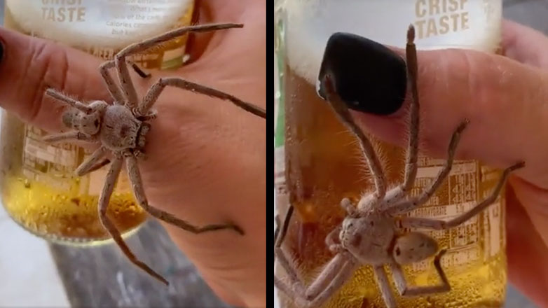 Όταν θέλεις να πιεις μια μπίρα στην Αυστραλία