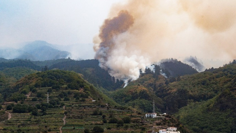 Ισπανία: Πυρκαγιά στην Τενερίφη – 3.000 άνθρωποι απομακρύνθηκαν από τις εστίες τους