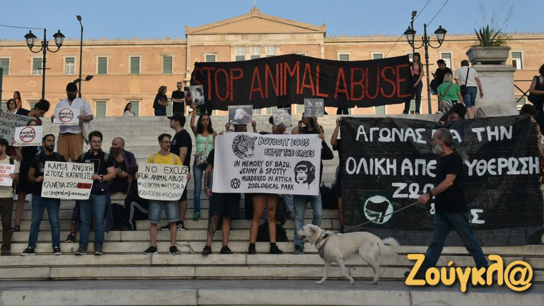 «Καμία ανοχή στους καταπιεστές»: Συγκέντρωση για την Παγκόσμια Ημέρα Ζώων στο Σύνταγμα