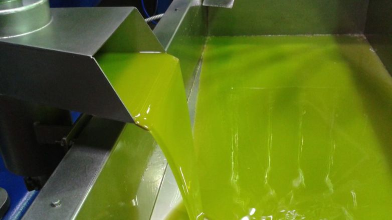 Πρωτοφανής κλοπή 37 τόνων ελαιολάδου στην Χαλκιδική