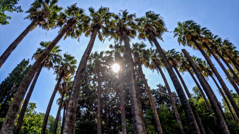 Κλιματική αλλαγή: Ο Σεπτέμβριος του 2023 ήταν πιο θερμός από κάθε άλλη χρονιά