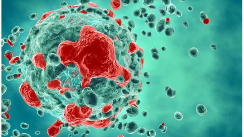 Πρωτοποριακή έρευνα αντιγήρανσης αφαιρεί επιλεκτικά τα γηρασμένα κύτταρα