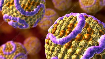 Γιατί η βρώμη μειώνει τη χοληστερόλη: Ο καθοριστικός ρόλος του εντερικού μικροβιώματος