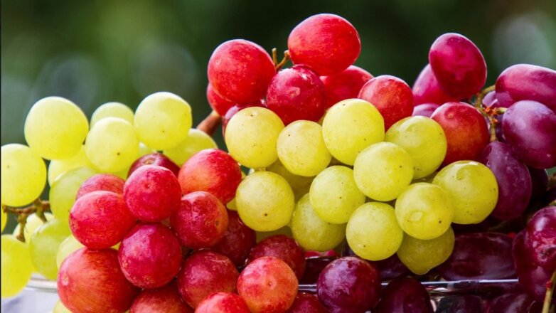 Η κατανάλωση σταφυλιών ωφελεί την υγεία των ματιών