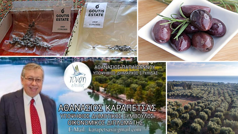 Η απάντηση της «Ζούγκλας» στον διπλωμάτη Αθανάσιο Καραπέτσα – Πώς χάθηκε για πάντα η μοναδική ευκαιρία προβολής της ελληνικής ελιάς