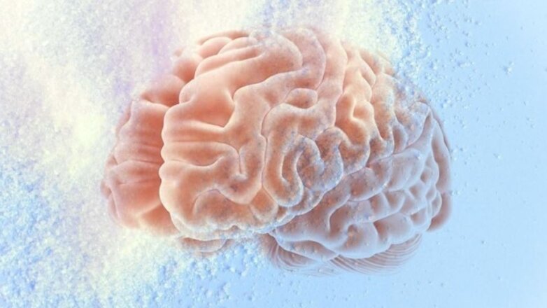 Το βιολογικό φύλο επηρεάζει τις πρωτεΐνες του εγκεφάλου και τον κίνδυνο ασθενειών