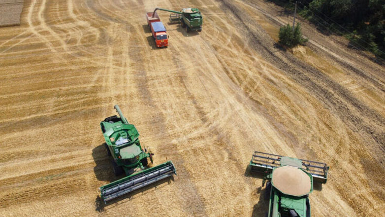 Ρωσία-ΟΗΕ: Διαβουλεύσεις για τις εξαγωγές σιτηρών και λιπασμάτων