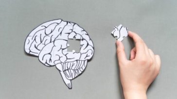 Αλτσχάιμερ: Νέα μελέτη δείχνει ότι η νόσος μπορεί να αντιστραφεί -τουλάχιστον στα ζώα