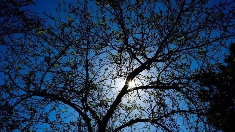 Ο καιρός σήμερα