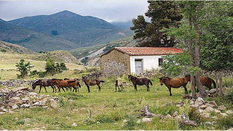 Το κρυφό σχολείο στην Ίμβρο, μια άγνωστη ως τώρα πτυχή της ιστορίας, σε βιβλίο με μαρτυρίες των ανθρώπων του νησιού