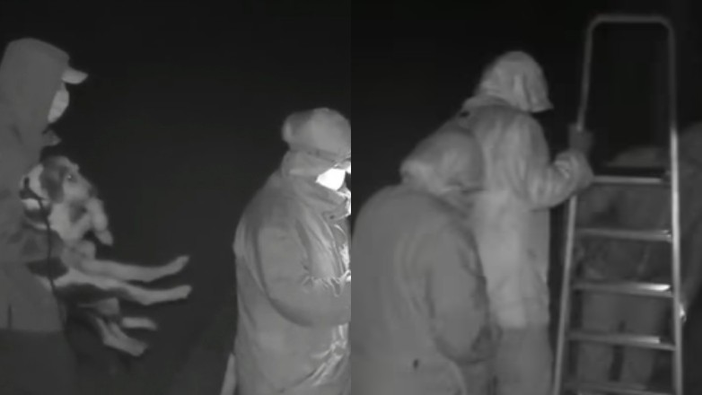 Κέρκυρα: Βίντεο με την εγκατάλειψη ζώων σε φιλοζωική – Πετούν τα σκυλιά από μεγάλο ύψους