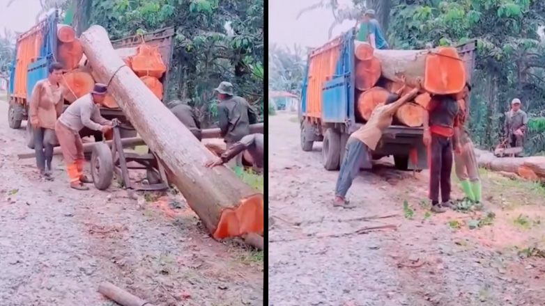 Φορτώνοντας ένα κορμό δέντρου χωρίς γερανό