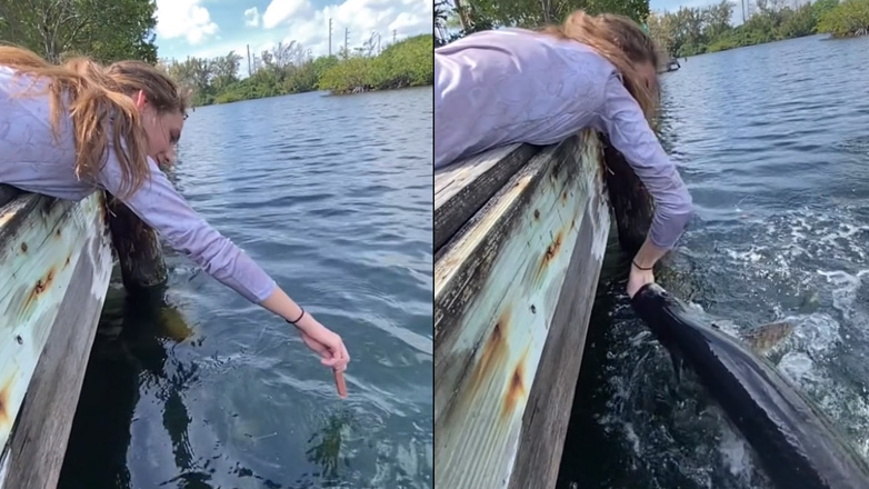 Ψαρεύοντας με ένα λουκάνικο