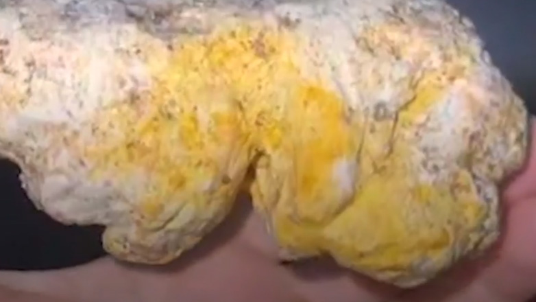 Σκύλος ανακαλύπτει σπάνιο πανάκριβο κεχριμπάρι