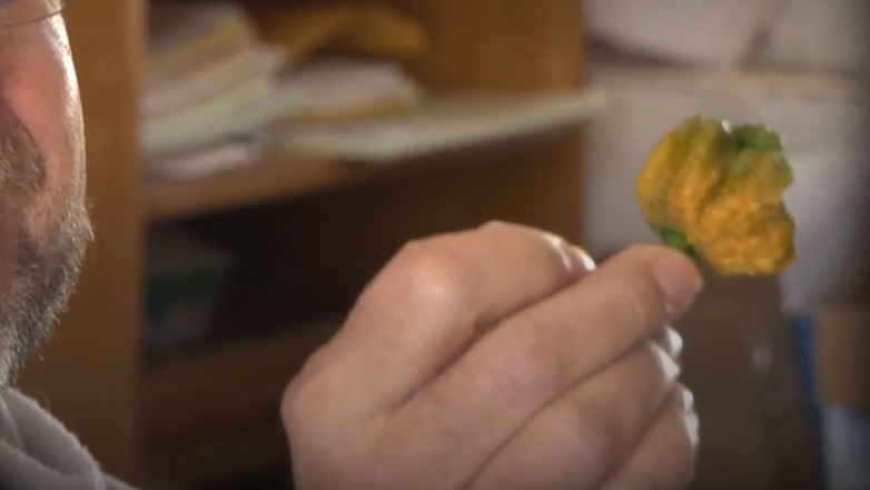 Το πιο καυτό πιπέρι στον κόσμο