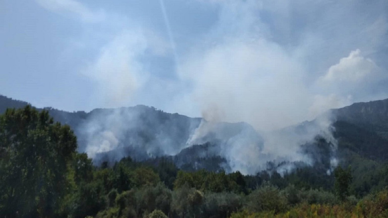 Καλύτερη εικόνα στο μέτωπο της φωτιάς στις Μαριές Ζακύνθου