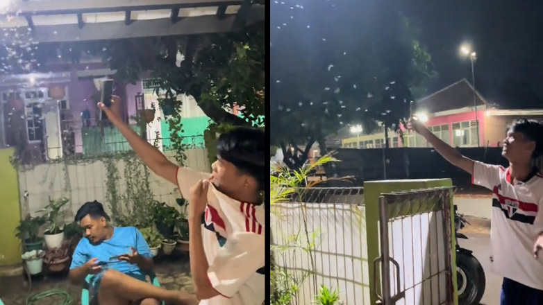 Η τεχνική για να απαλλαγείτε από τα ιπτάμενα έντομα γύρω από μια λάμπα