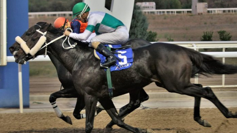 Σήμερα στο Markopoulo Park το 77ο Ελληνικό Ντέρμπι