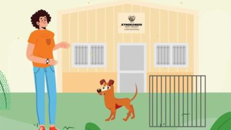 «Η ζωή μέσα από τα μάτια των αδέσποτων ζώων»: Μια ταινία μικρού μήκους από τον Δήμο Ηρακλείου