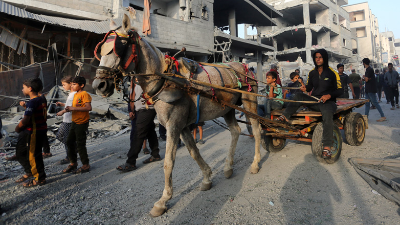 Πληροφορίες για 1.000 μη ταυτοποιημένα πτώματα στα ερείπια των κτηρίων της Γάζας