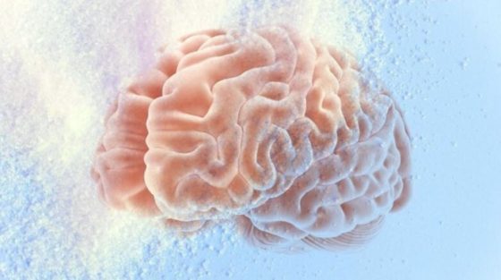 Μελέτη εξηγεί γιατί η απώλεια μνήμης μπορεί να επιταχύνεται απότομα