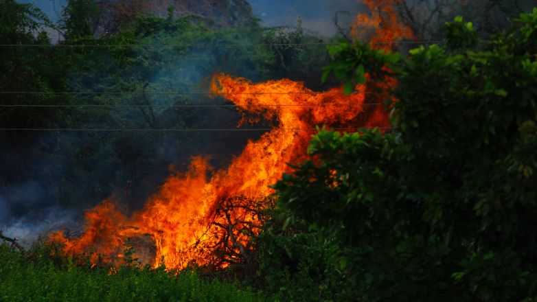 Αυστραλία: Δύο νεκροί και δεκάδες καμένα σπίτια από τις δασικές πυρκαγιές στο Κουΐνσλαντ