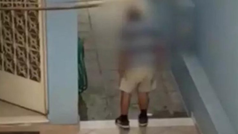 Νέα Φιλαδέλφεια: Σάλος με το βίντεο που ηλικιωμένος πνίγει νεογέννητα γατάκια