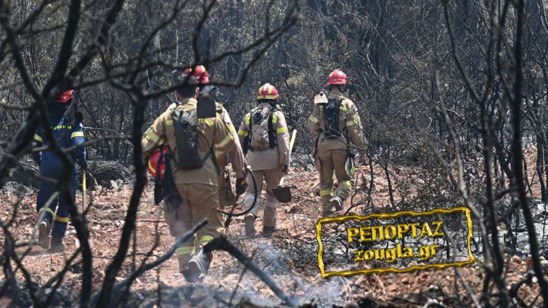 Εποχικοί πυροσβέστες: «Είμαστε θύματα ηλικιακού ρατσισμού – Μας «άδειασε» η Κυβέρνηση» Εποχικοί πυροσβέστες: «Είμαστε θύματα ηλικιακού ρατσισμού – Μας «άδειασε» η Κυβέρνηση»