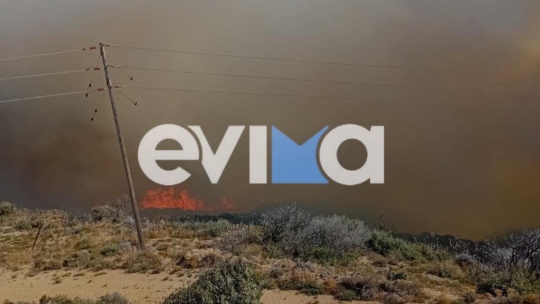 Φωτιά στην Κάρυστο: Κοντά στα σπίτια οι φλόγες – Εκκενώθηκαν δύο χωριά