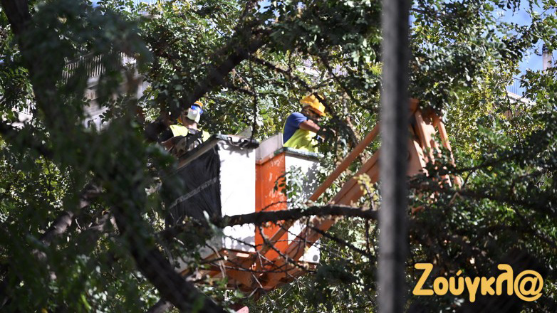 Θα μεταφυτευτούν τα δέντρα της Πλατείας Εξαρχείων υποστηρίζει η ΕΛΛΗΝΙΚΟ ΜΕΤΡΟ