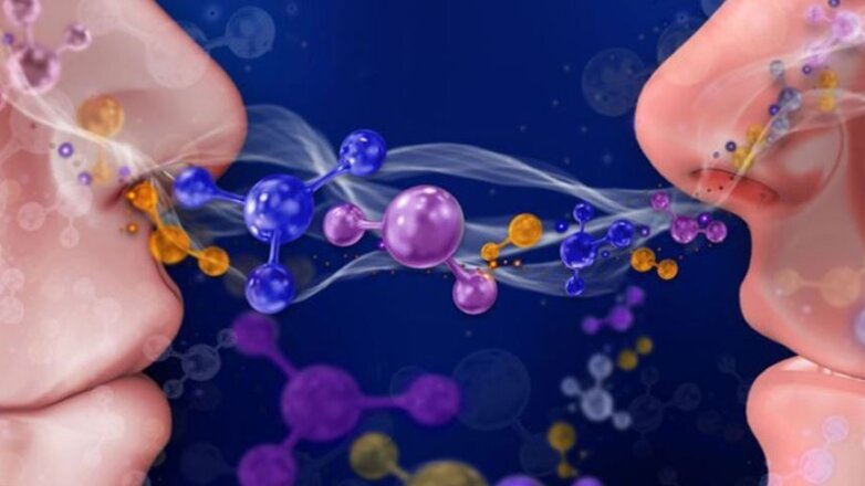 Κάθε ρουθούνι έχει μια ελαφρώς διαφοροποιημένη αίσθηση όσφρησης