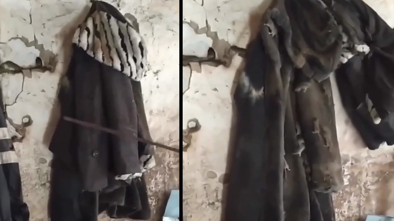 Ποντίκια στην αποθήκη