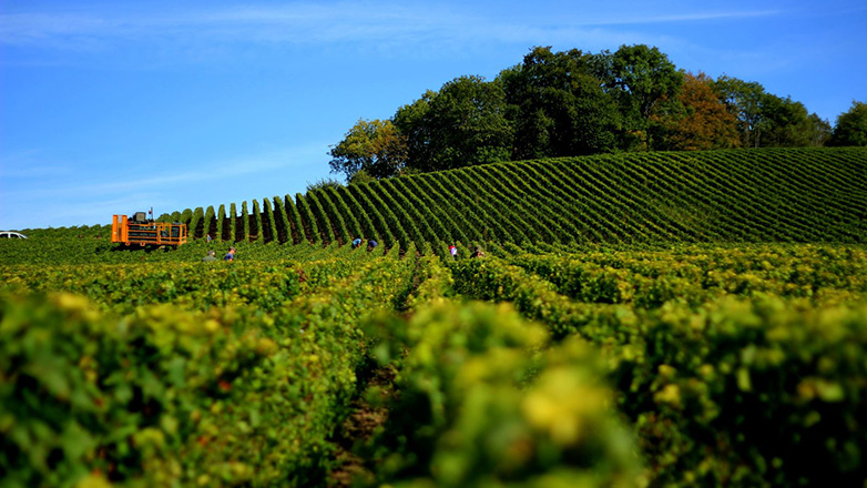 Ένα μεγάλο έργο για τη στήριξη του πρωτογενούς τομέα αναλαμβάνει η NEUROPUBLIC