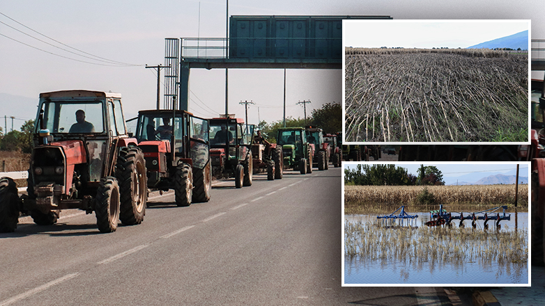 Οργή στον κάμπο
