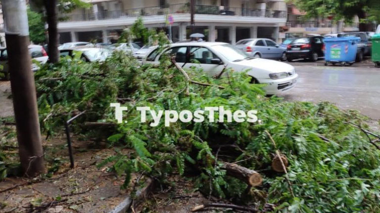 Θεσσαλονίκη: Πτώσεις δέντρων προκάλεσαν οι θυελλώδεις άνεμοι που πνέουν από τις πρωινές ώρες