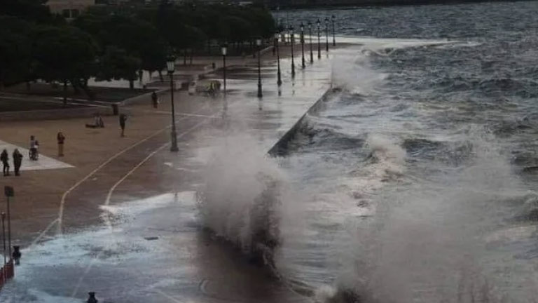 Θεσσαλονίκη: Πτώσεις δέντρων, ζημιές σε οχήματα και υποδομές, ακυρώσεις πτήσεων και προβλήματα ηλεκτροδότησης