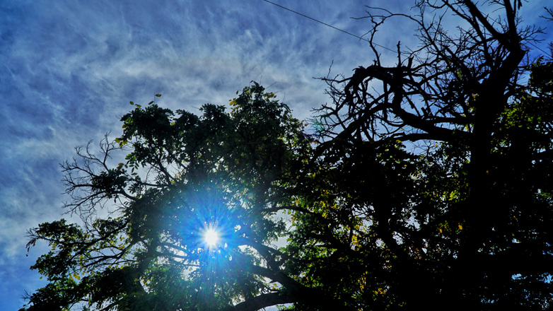 Ο καιρός σήμερα