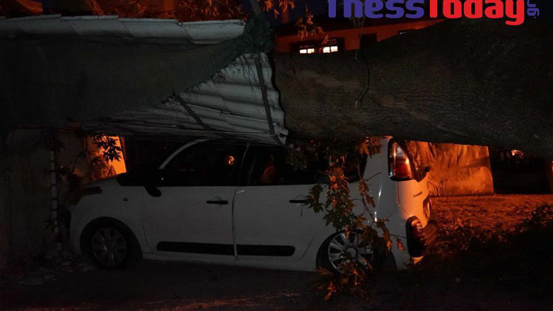 Θεσσαλονίκη: Ξεριζώθηκε πλάτανος λόγω της κακοκαιρίας και καταπλάκωσε δύο αυτοκίνητα