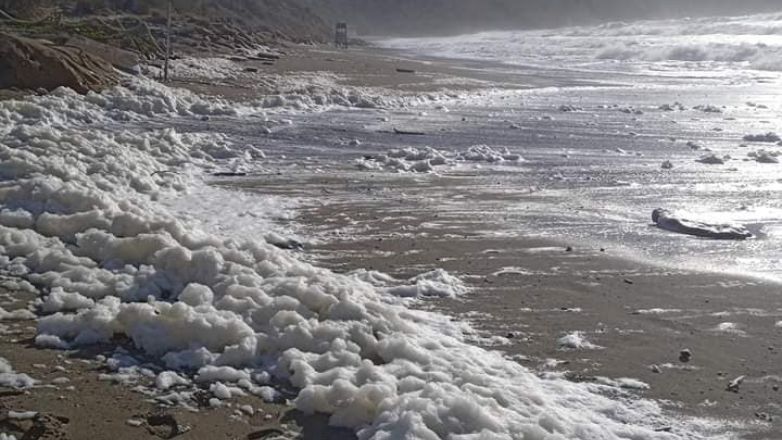 Γέμισαν αφρούς οι παραλίες της Νότιας Κρήτης – Το φαινόμενο «Cappuccino coast» που έκανε λευκή τη θάλασσα