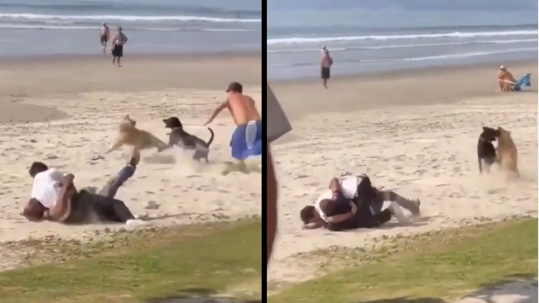 Διπλή μάχη σε μια παραλία