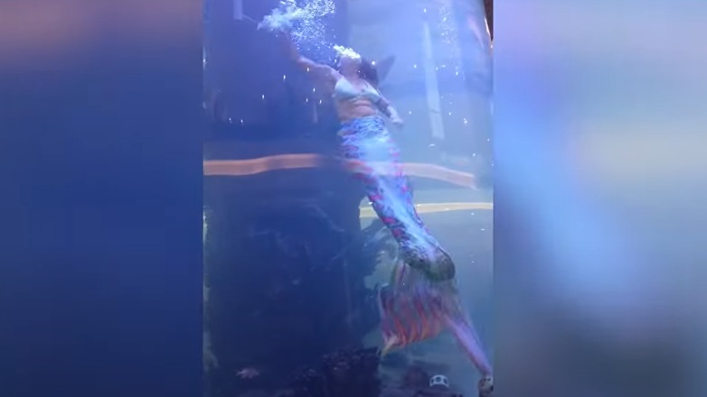 Ανατριχιαστικό βίντεο με τον -παραλίγο- πνιγμό «γοργόνας» σε ενυδρείο