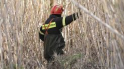 Αχαΐα: Αγνοείται απόστρατος της ΕΛ.ΑΣ – Στις έρευνες σκύλος και drone της Πυροσβεστικής