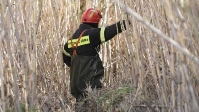 Φωτιά στον Ωρωπό