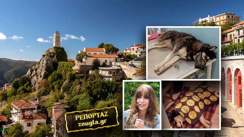 «Προσπαθούν να συγκαλύψουν την κτηνωδία με τον άγριο βασανισμό του Όλιβερ»