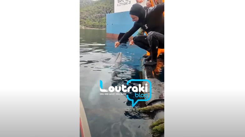 Λουτράκι: Δύτης ταΐζει μικρό δελφίνι στο στόμα