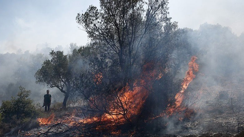 Υπό πλήρη έλεγχο η πυρκαγιά στο Οροπέδιο Λασιθίου – Κάηκαν 200 στρέμματα δασικής έκτασης.