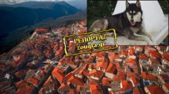 To Ανθρωποκτονιών στις έρευνες για τον Όλιβερ – Τι είπαν στη «Ζούγκλα» ο ιδιοκτήτης του σκύλου και η δικηγόρος του